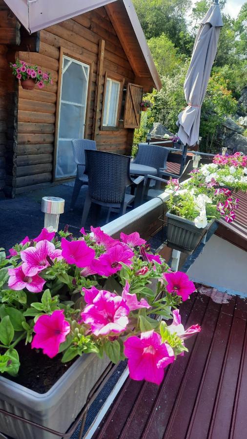 Mali Raj Apartmani Cetinje Eksteriør billede